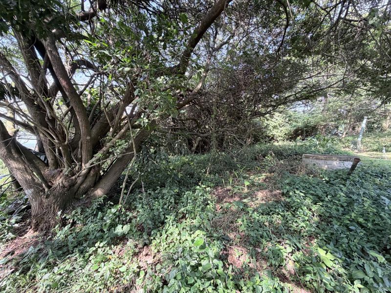Vacant Land in Elaleni Coastal Forest Estate - Photo 10
