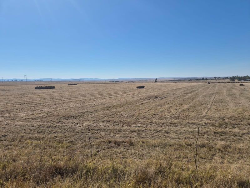 208 Ha Farm For Sale in Vredefort - Photo 7