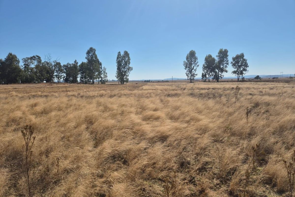 208 Ha Farm For Sale in Vredefort - Photo 5