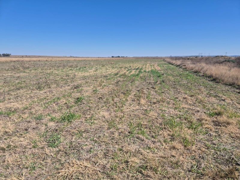 208 Ha Farm For Sale in Vredefort - Photo 4