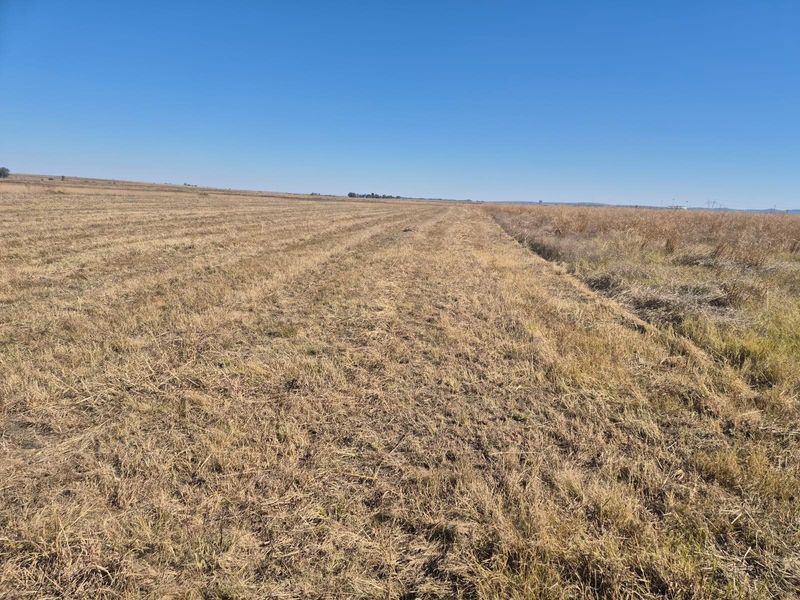 208 Ha Farm For Sale in Vredefort - Photo 3