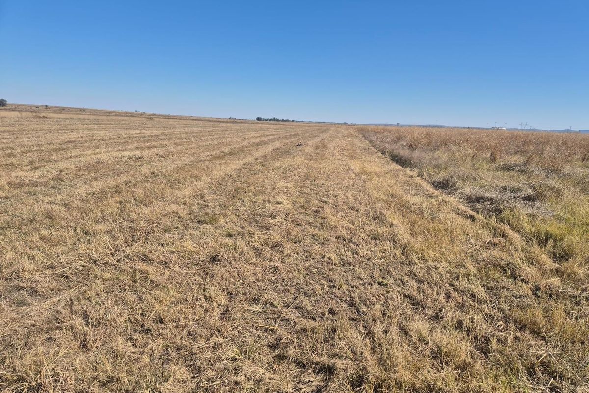 208 Ha Farm For Sale in Vredefort - Photo 3