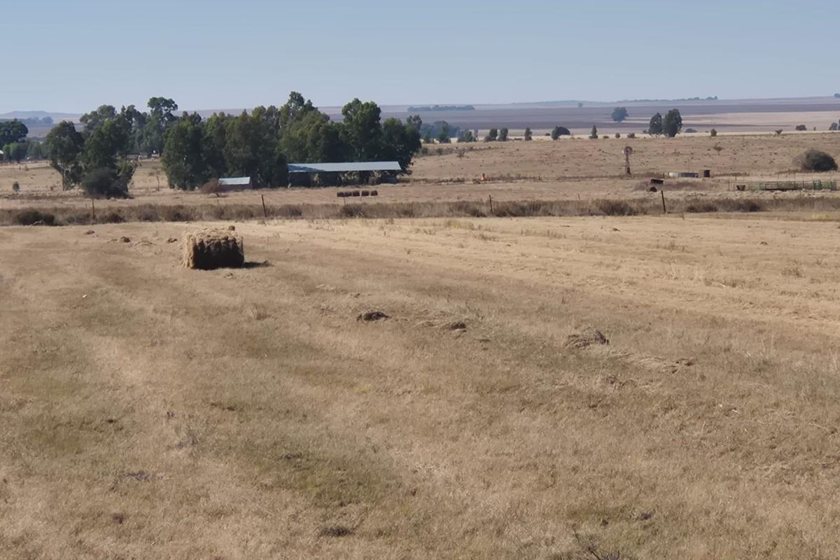 208 Ha Farm For Sale in Vredefort - Photo 2