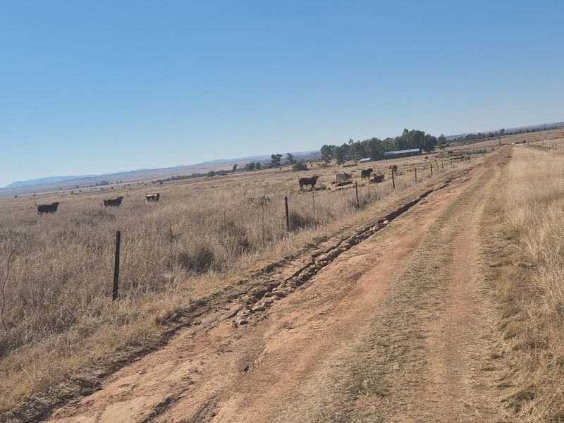 208 Ha Farm For Sale in Vredefort - Photo 9