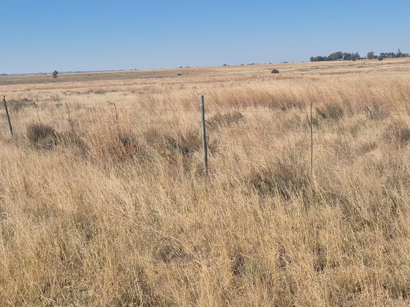 208 Ha Farm For Sale in Vredefort - Photo 9