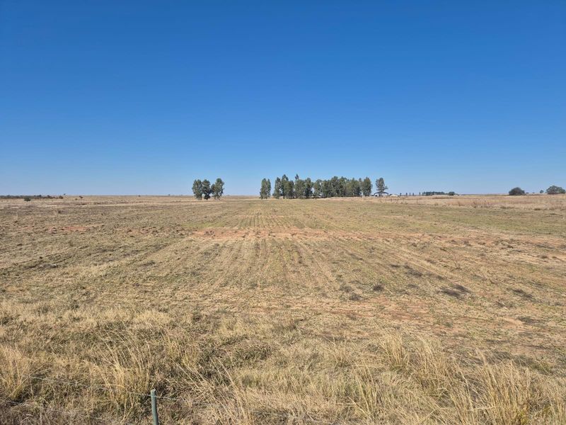208 Ha Farm For Sale in Vredefort - Photo 7