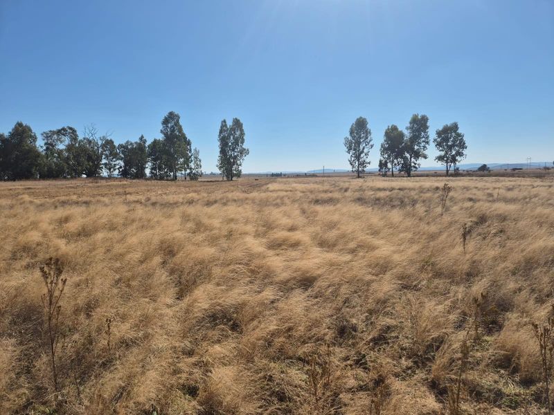 208 Ha Farm For Sale in Vredefort - Photo 6