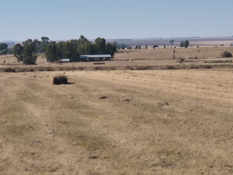208 Ha Farm For Sale in Vredefort - Photo 3