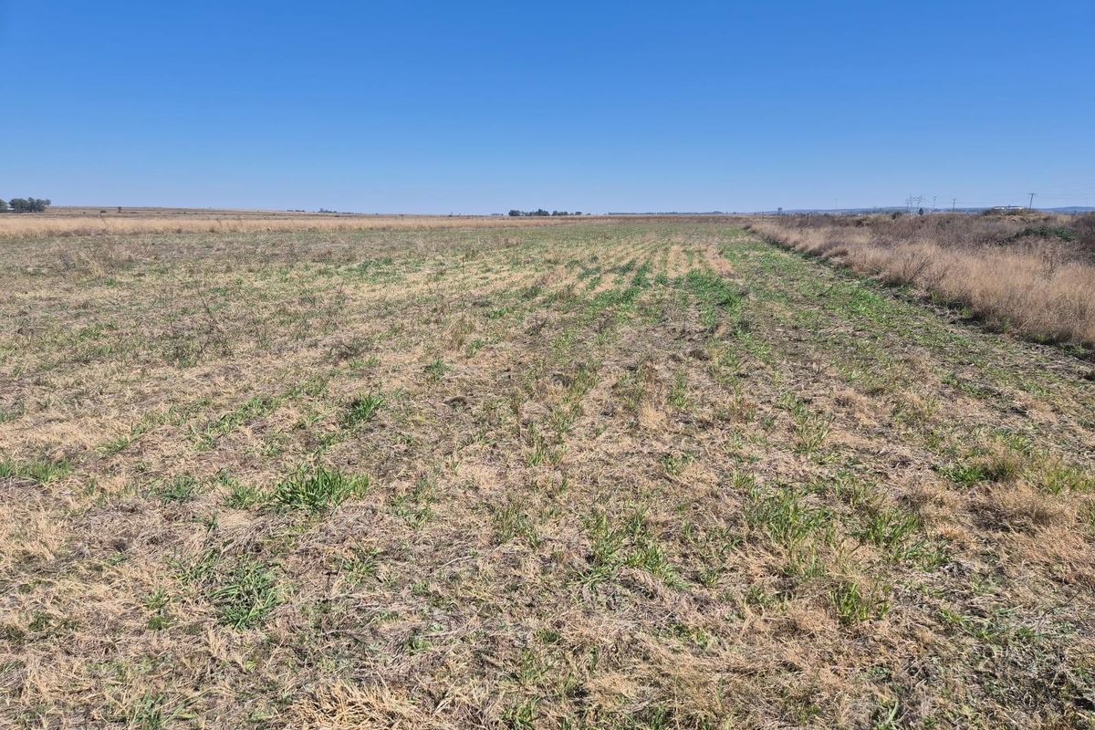 208 Ha Farm For Sale in Vredefort - Photo 5