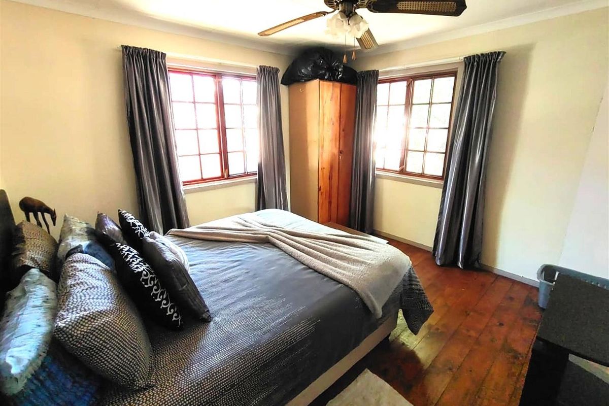 A bedroom featuring timber flooring, dual windows with natural light, and a ceiling fan.