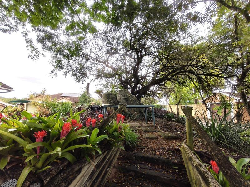 Charming, Well-Loved 3 bedroom home with Lush Established Garden in secure complex. - Photo 8