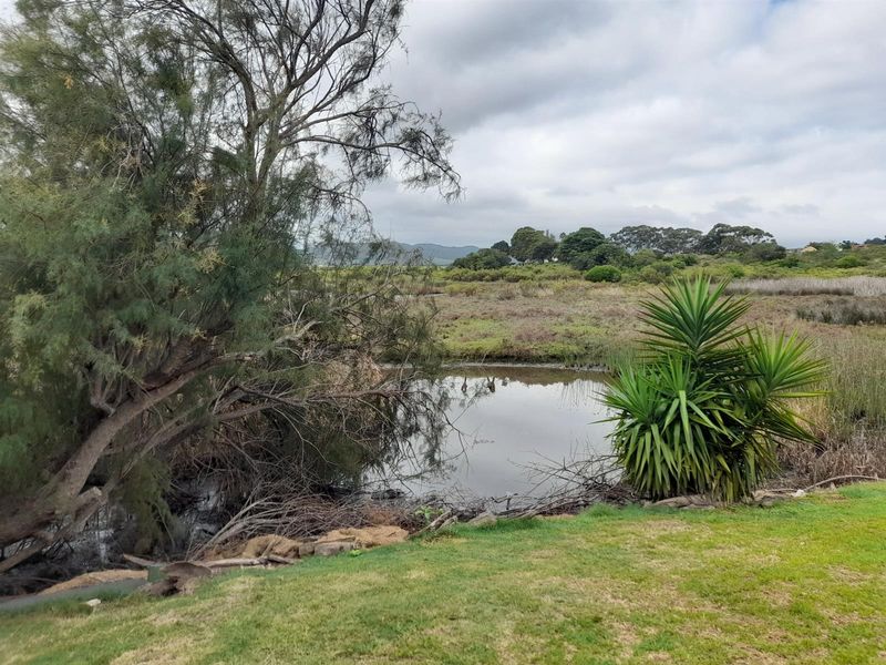 Riverside Living in the Heart of Klein Brak River, Garden Route - Photo 4