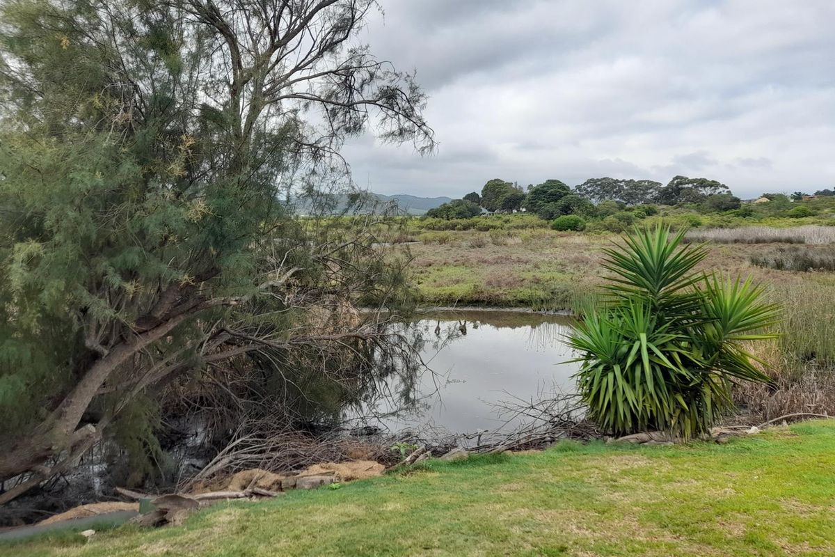 Riverside Living in the Heart of Klein Brak River, Garden Route - Photo 4