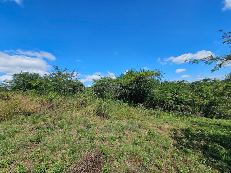 A view of the vacant residential land featuring natural vegetation, native trees, and open grassy areas under a clear blue sky.