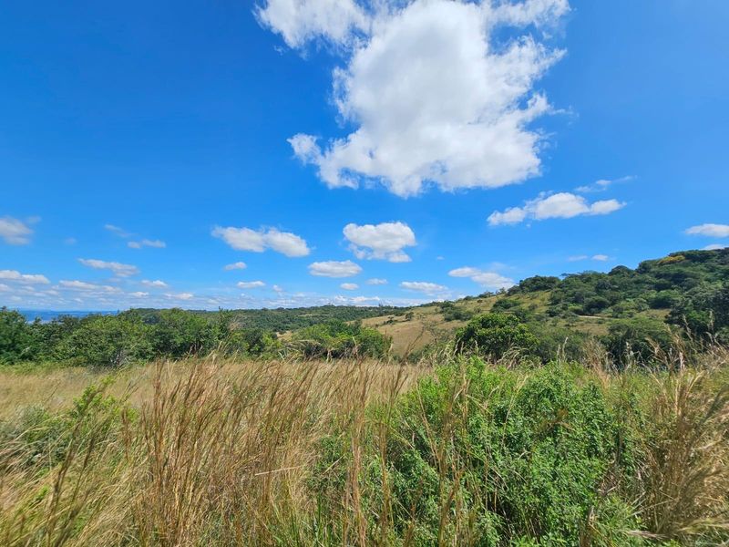 A scenic view of the vacant residential land featuring natural grass, indigenous vegetation, and rolling hills under a clear blue sky.