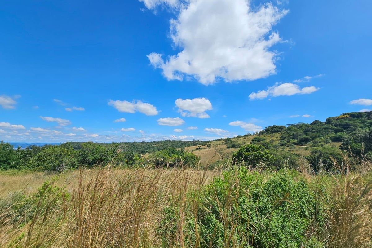 A scenic view of the vacant residential land featuring natural grass, indigenous vegetation, and rolling hills under a clear blue sky.