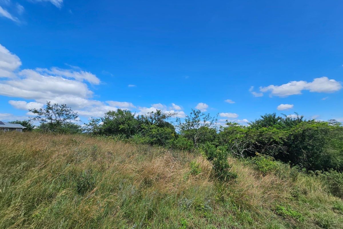 A view of the vacant residential land featuring natural grass and established trees under a clear blue sky.