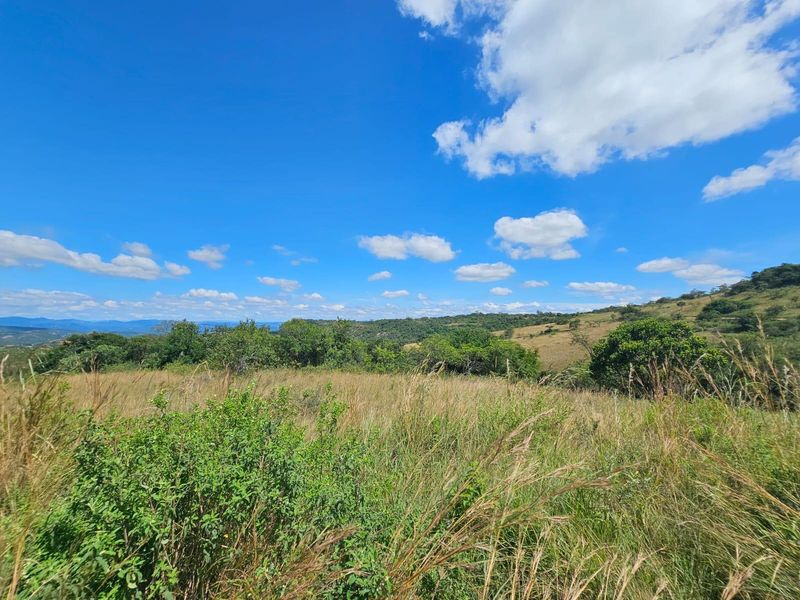 A scenic view of the vacant residential land, showcasing the natural landscape, native vegetation, and rolling hills under a clear blue sky.