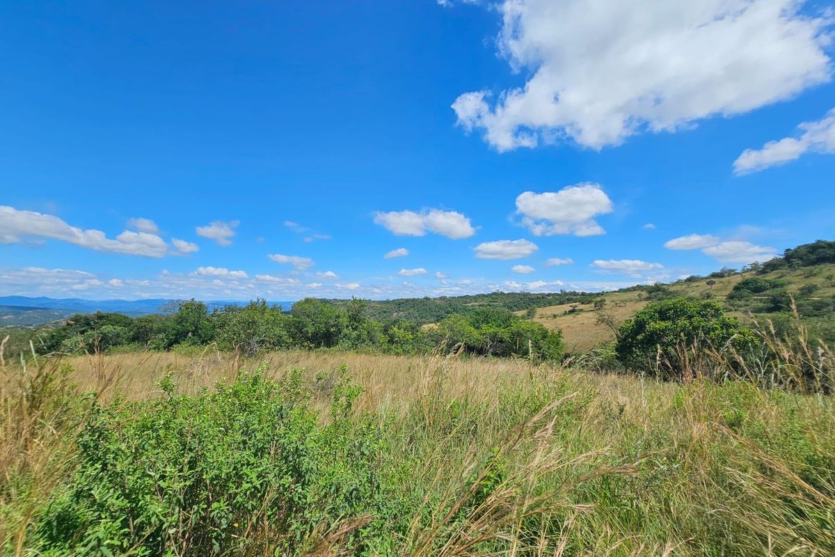 A scenic view of the vacant residential land, showcasing the natural landscape, native vegetation, and rolling hills under a clear blue sky.