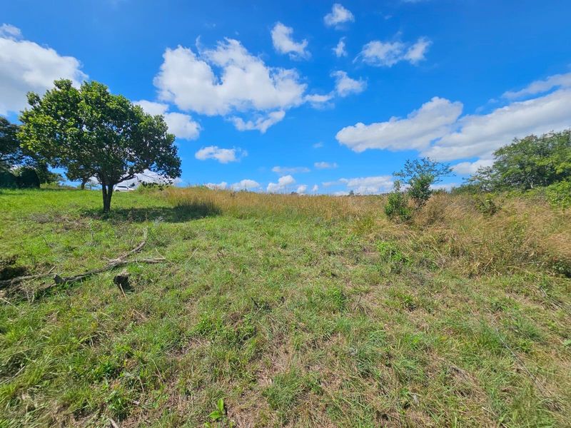 A view of a vacant residential plot featuring natural grass, scattered trees, and an open landscape under a clear blue sky.