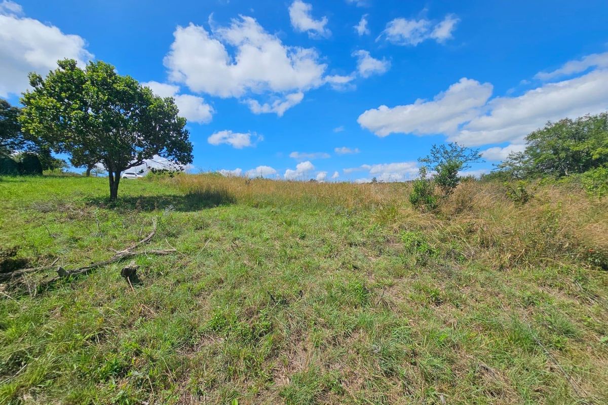 A view of a vacant residential plot featuring natural grass, scattered trees, and an open landscape under a clear blue sky.
