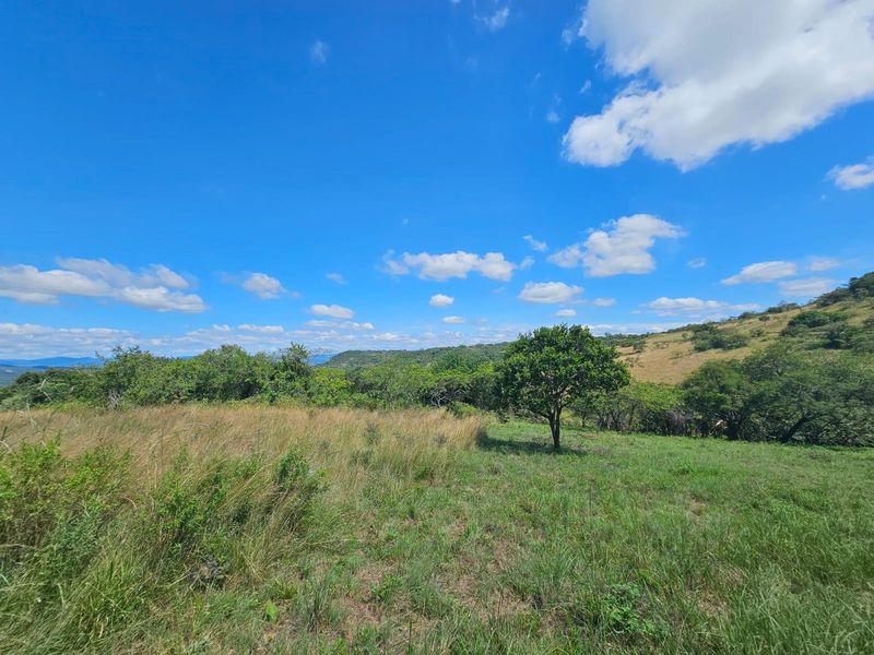 A scenic view of the vacant residential land featuring natural grassy terrain, indigenous trees, and rolling hills under a clear blue sky.