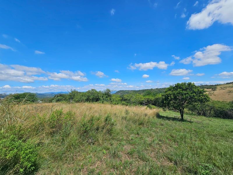A scenic view of the vacant residential land featuring natural grass, native trees, and rolling hills under a clear blue sky.