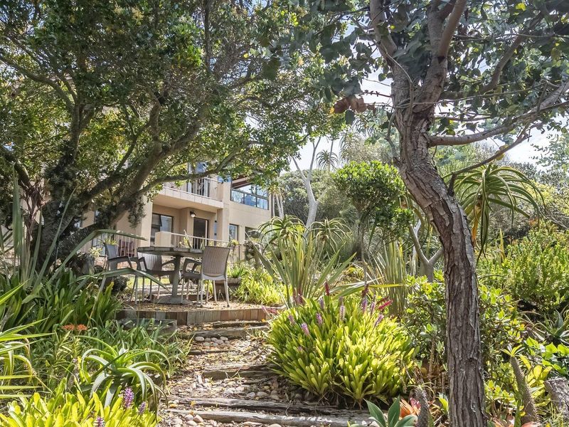 A lush, established garden featuring mature trees and diverse plantings, leading to a paved patio area adjacent to the rear of the house.