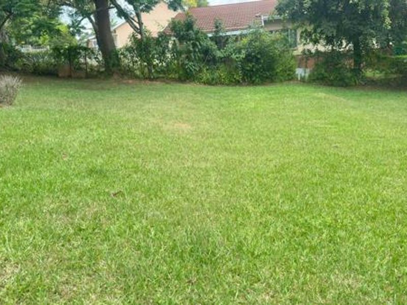Prime Scottsville Investment | Walk to UKZN | High Rental Yield | 20 plus-Student Capacity Potential - Photo 6