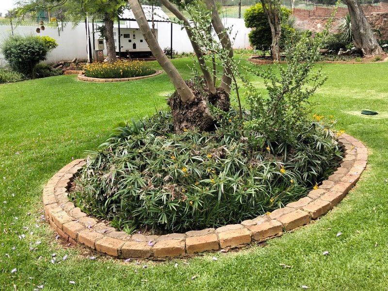 A well-maintained garden area featuring a landscaped circular brick-edged flower bed surrounding a mature tree on a lush green lawn.
