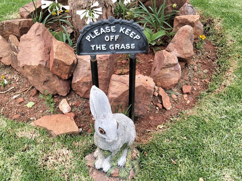 A landscaped garden area featuring a rock-bordered tree base and decorative lawn signage.