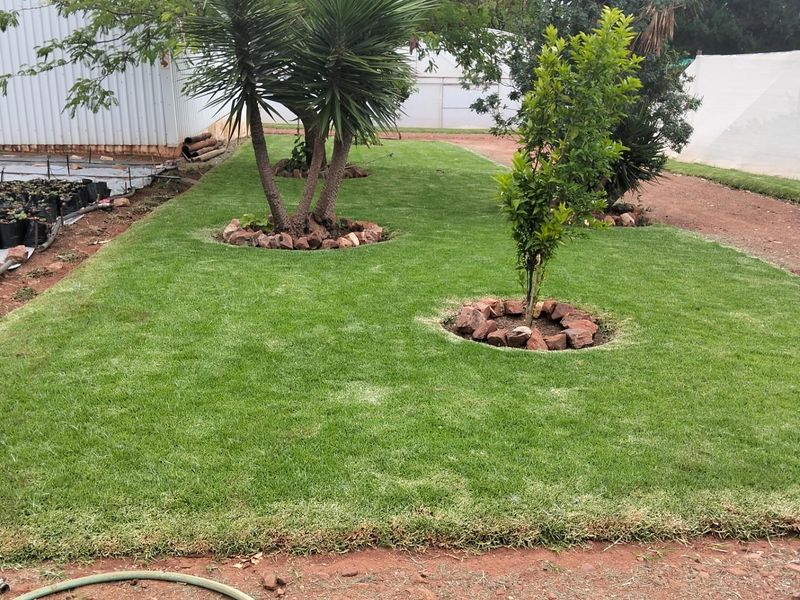 A well-maintained garden area featuring manicured lawn, established trees with stone-bordered bases, and adjacent agricultural or nursery infrastructure.