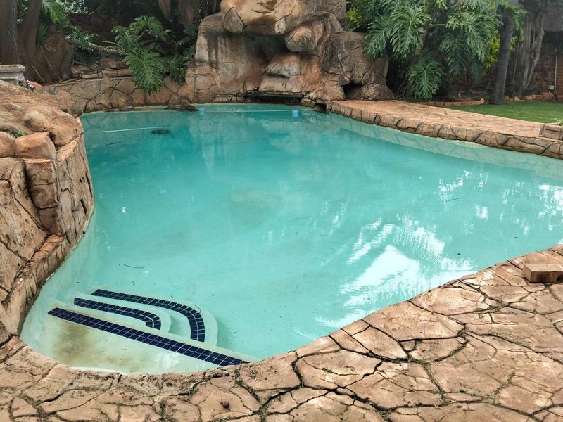 A natural-style swimming pool featuring rock-feature cladding, integrated steps, and a paved surround set within a landscaped garden area.