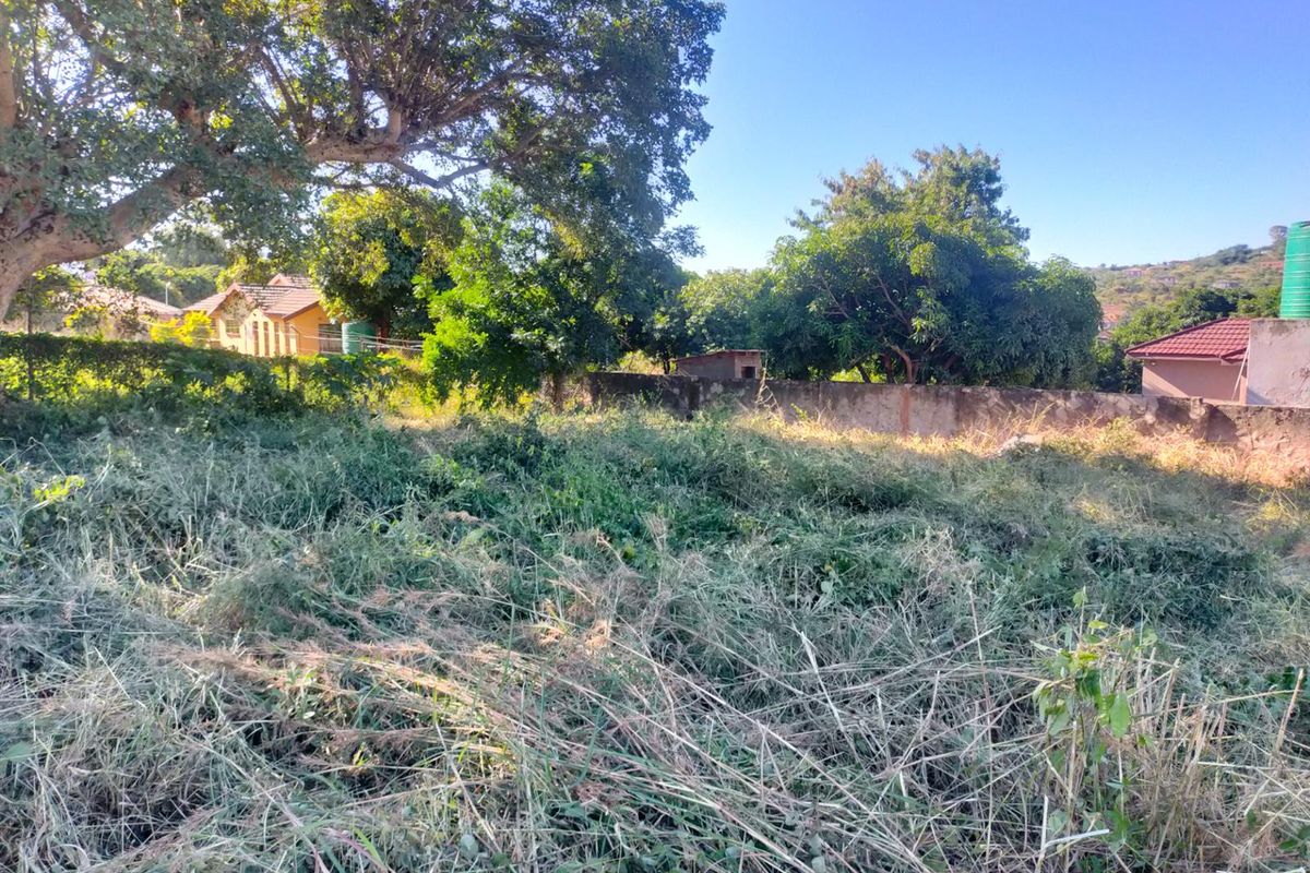 A vacant residential plot featuring mature trees and a boundary wall, currently covered in overgrown vegetation.