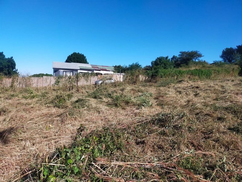 A view of a vacant residential plot featuring overgrown grass and a boundary fence, with neighboring properties visible in the background.