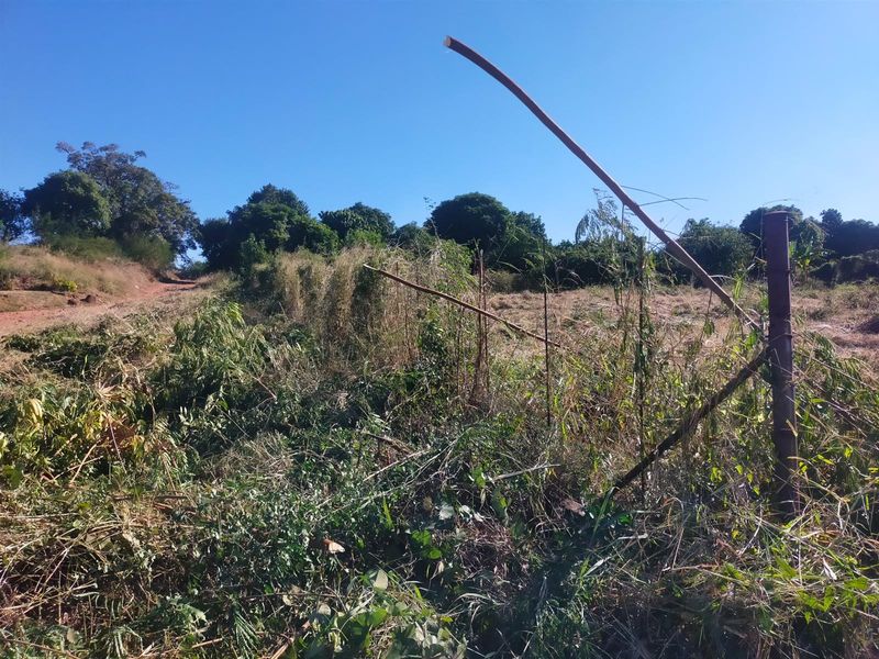 A view of a vacant residential plot featuring overgrown vegetation and damaged wire fencing along the boundary.