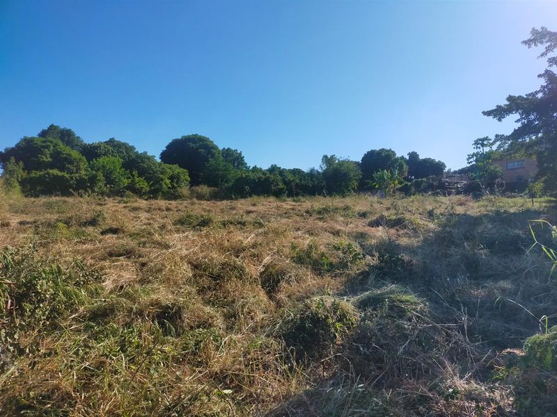 A view of a vacant residential plot featuring cleared grass and mature trees along the perimeter.