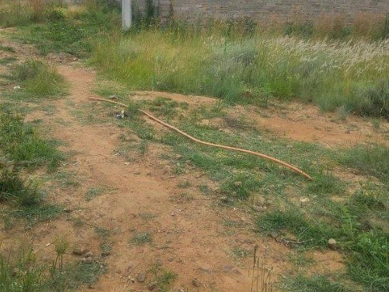 Vacant Land For Sale in Paulpietersburg, KwaZulu Natal - Photo 2