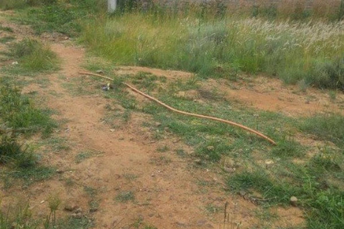 Vacant Land For Sale in Paulpietersburg, KwaZulu Natal - Photo 2