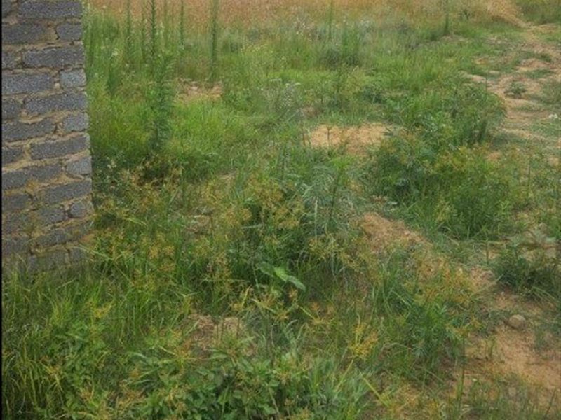 Vacant Land For Sale in Paulpietersburg, KwaZulu Natal - Photo 3