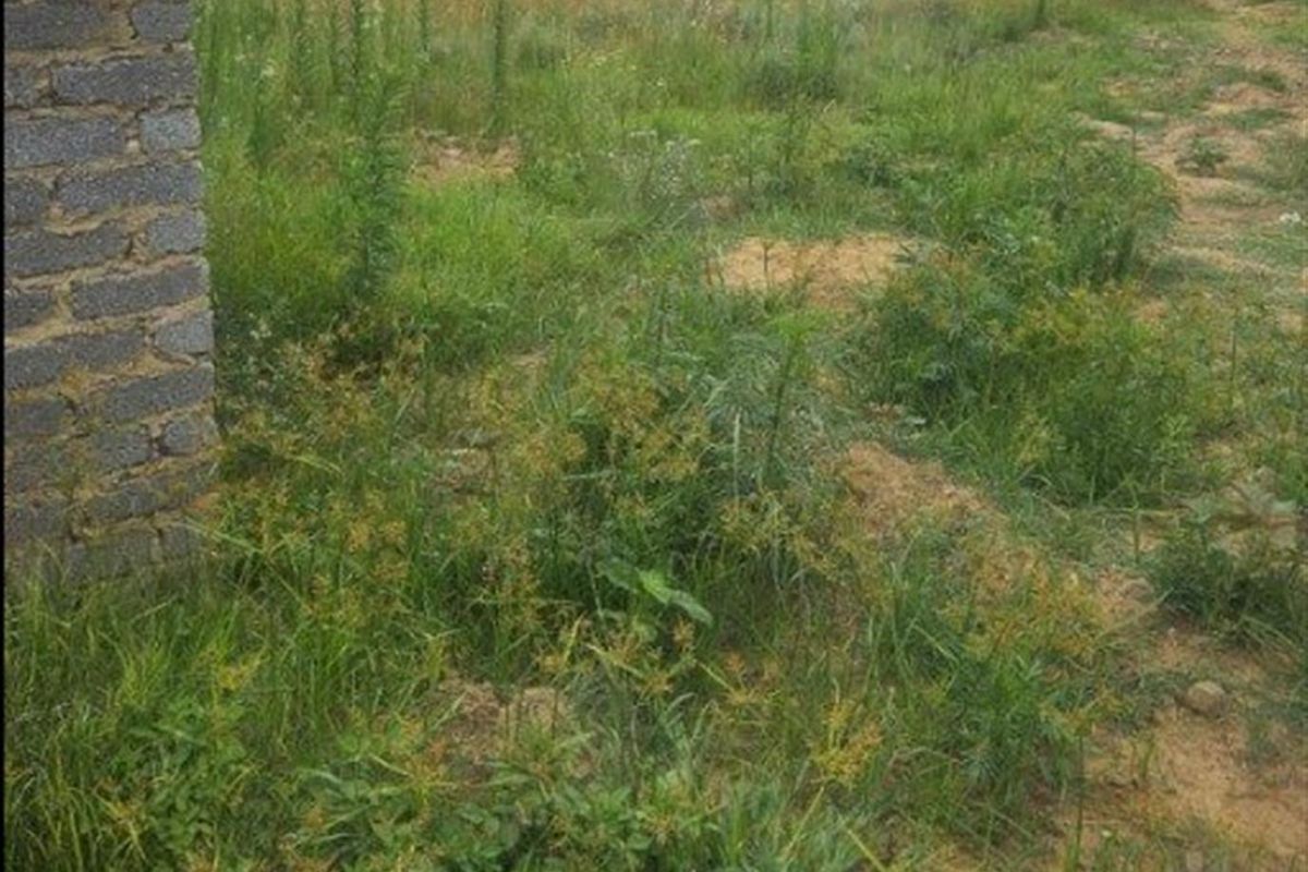 Vacant Land For Sale in Paulpietersburg, KwaZulu Natal - Photo 3