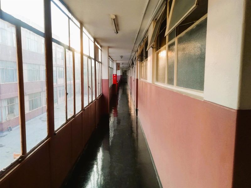 A long, sunlit apartment hallway featuring large steel-framed windows, painted walls, and a polished floor surface.