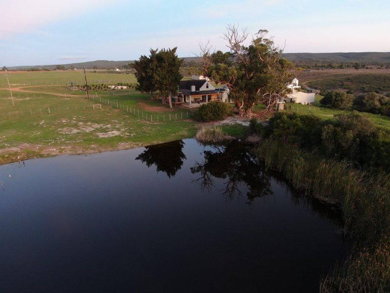 Aerial view of a farm property featuring a main dwelling, surrounding pasture land, and a natural dam with reeds.