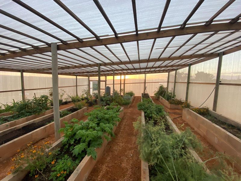 A well-maintained greenhouse structure featuring raised garden beds, timber framing, and protective shade cloth covering, ideal for year-round cultivation.