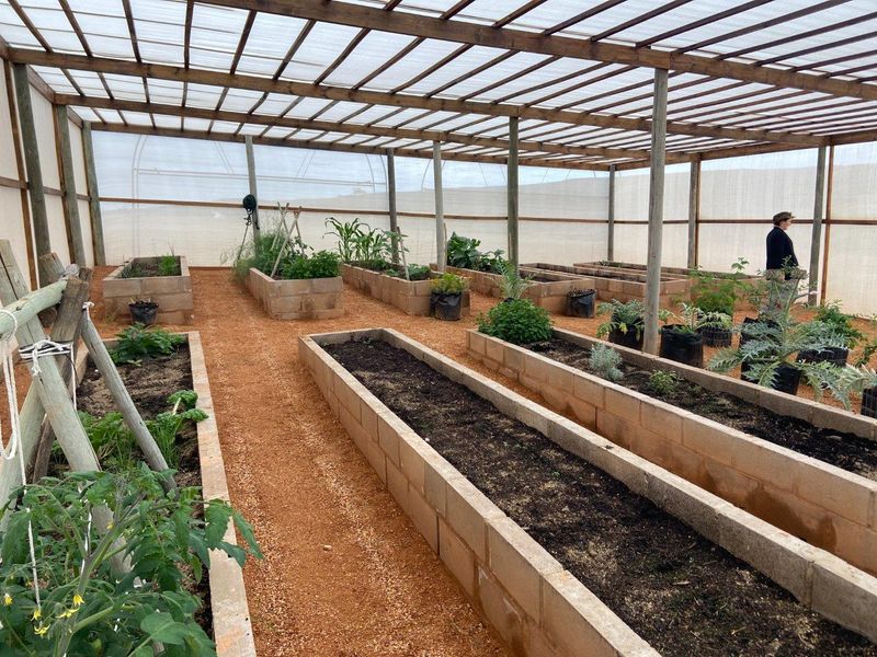 A functional greenhouse structure featuring multiple raised garden beds constructed from concrete blocks, providing an organized space for cultivation.