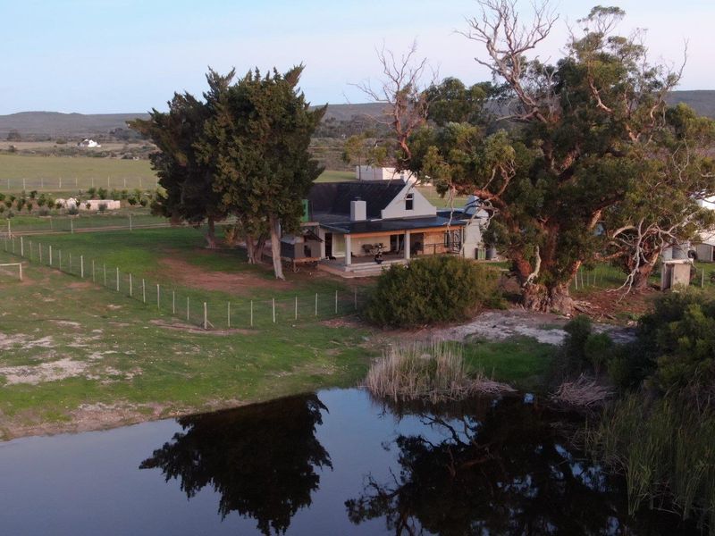 Aerial view of a rural farmhouse featuring a covered veranda, set on a large plot with mature trees and a natural pond.