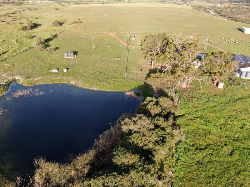 Aerial view of the farm property featuring a natural dam, expansive grazing land, established trees, and perimeter fencing.
