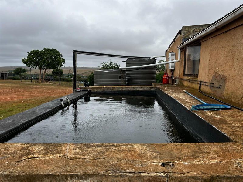 Farm with Two Title Deeds For Sale - Photo 5