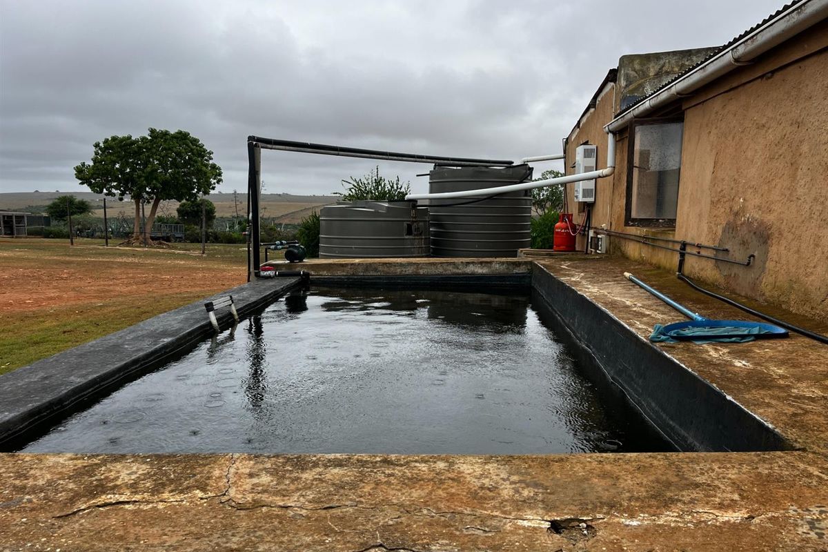 Farm with Two Title Deeds For Sale - Photo 5