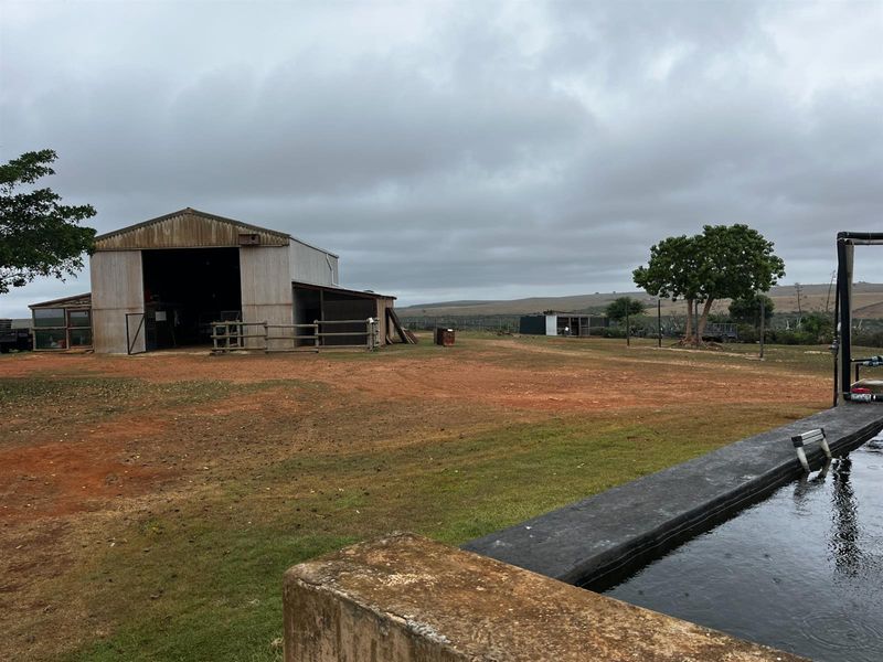 Farm with Two Title Deeds For Sale - Photo 8